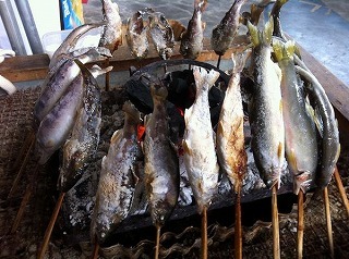 アメゴの塩焼き④.jpg