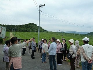 P1100428.jpg
