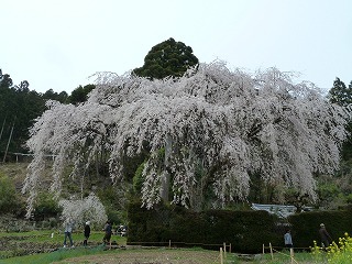 P1150099.jpg