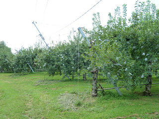 resize1409.jpg