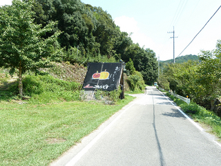 resize1410.jpg