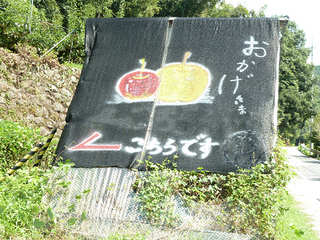 resize1423.jpg