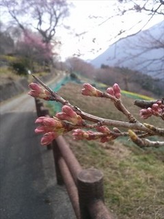 2014-03-17-16-01-26_photo_R.jpg