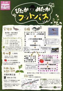 ひだかめだかフットパスチラシ_R.jpg