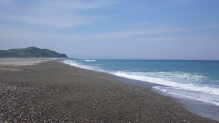 仁淀川河口付近⑤_R.JPG