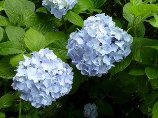 画像 030.jpg