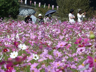画像 062.jpg