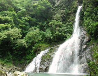 飛龍の滝/安居渓谷(西森氏提供)回転.jpg