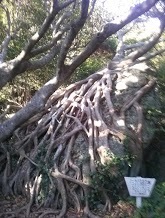 IMG03672.jpg