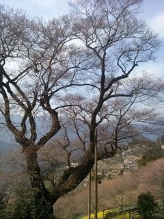 IMG04008_R.jpg