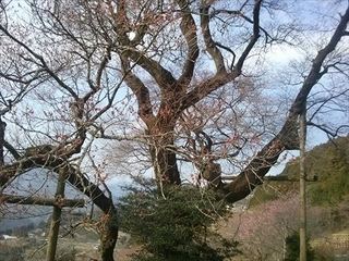 IMG04010_R.jpg