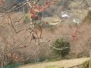 IMG04013_R.jpg