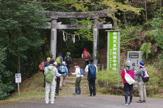 IMGP8881.JPG