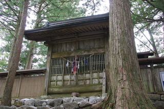 IMGP8981.JPG