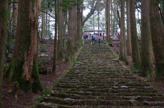 IMGP9073.JPG
