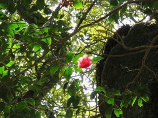 IMG_0028_R.JPG