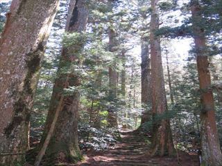 IMG_0092_R.JPG