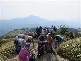 IMG_0486_R.JPG