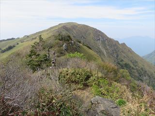 IMG_0488_R.JPG