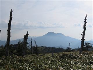 IMG_0532_R.JPG