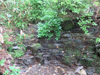 IMG_0702_R.JPG