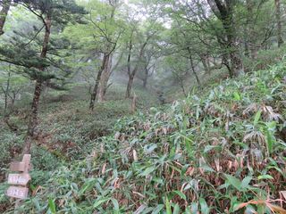 IMG_0704_R.JPG