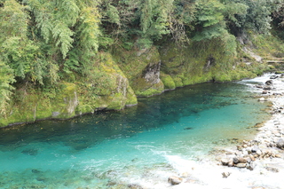 IMG_1935.JPG