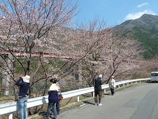 P1080641.jpg