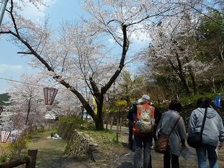 P1080841.jpg