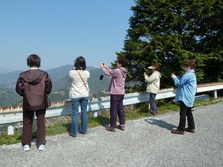 P1090208.jpg