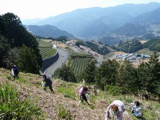 P1090220.jpg