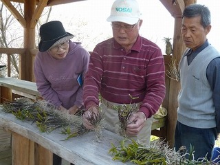 P1090238.jpg