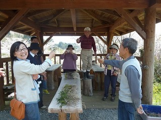 P1090243.jpg