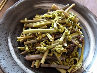 P1090265.jpg