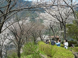 P1090287.jpg