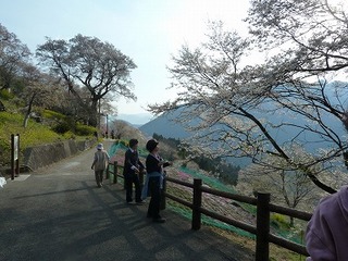 P1090321.jpg