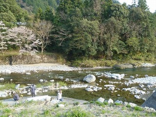 P1090333.jpg