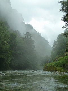 P1100755.jpg