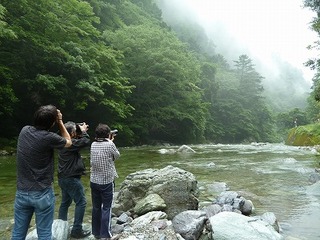 P1100758.jpg