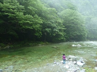 P1100773.jpg