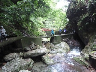 P1110135.jpg