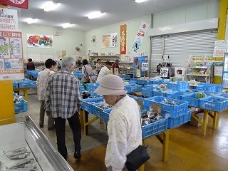 P1110522.jpg