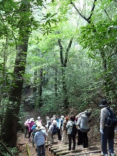 P1120101.jpg