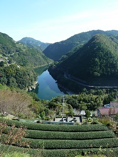 P1130032.JPG