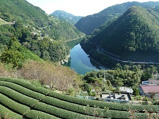 P1130038.jpg