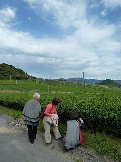 P1130100.jpg