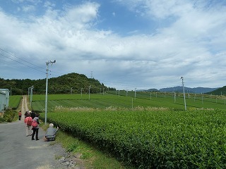 P1130102.jpg