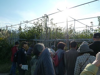 P1130140.jpg