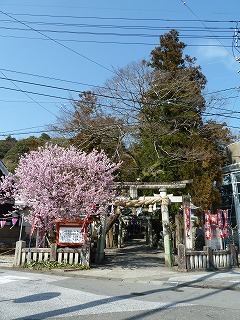 P1140683.jpg