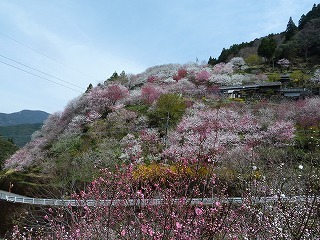 P1150033.jpg